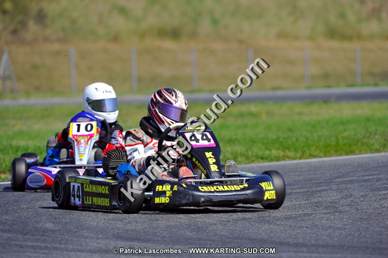 DSC_ (1295).jpg